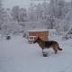 Świerkowe Rancho, Brzostek (foto 5)