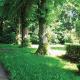 Beautiful Apartment In Wingst, Wingst - Kuva 4