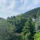Maharaja Mountain Palace with Free Privat Parking and Garden, Budapeszt - Zdjęcie 10
