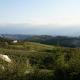 Bricco Torricella, Monforte dʼAlba (fotografie 6)