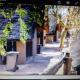 Von Bach Dam Resort, Okahandja (fotografie 4)