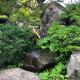 Shohakuen, Takayama (foto 10)