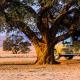 Dead Valley Lodge, Sesriem (photo 6)