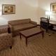 Holiday Inn Express & Suites Austin South-Buda by IHG - Zdjęcie 3