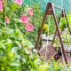 Hoi An Rosemary Boutique Hotel & Spa - A Peaceful Retreat, Hội An - Photo 10