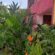 Royal pine cottage hotel, Ruiru - Fotografie 9