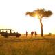 Saruni Leopard Hill, Naboisho - Fotografie 9