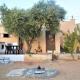 Our Villa's Pine Cottage - HQ Budget Stay - Wonderful horizon view of Jerash, Jerash