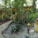 Amazon Ecopark Jungle Lodge, Manaus - Fotografie 5