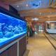 Hotel Badura, Wadowice (photo 4)
