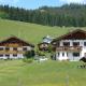 Fronwieshof, Ramsau - Foto 6
