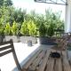 Grocka Apartmani & rooms