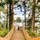 Port Townsend Perfection