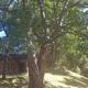 Nyangombe Backpackers, Kwekwe (photo 3)