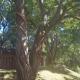 Nyangombe Backpackers, Kwekwe (photo 5)