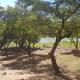 Nyangombe Backpackers, Kwekwe (photo 9)