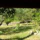 LOUCABANON VAR, Draguignan