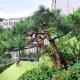 Happy Garden Guesthouse, Seoul - Photo 3