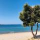 Ecobeachvilla Buqez 9