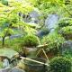 藤花楼 KAMAKURA, Yamanouchi (zdjęcie 4)