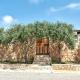 Appartamenti Pomelia - Lampedusa, Lampedusa (photo 9)