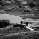Agriturismo Cascina Sciulun, Monforte dʼAlba (fotografie 5)