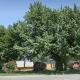 Camping de Tournus - Drole de cabane, Tournus (foto 10)