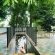 Once Upon The River, Aluva - Near Cochin International Airport, Cochin - Foto 4