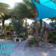 BeachPoint Cottages, Siesta Key - Fotografie 1