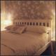 Ty Mawr Hotel, Llanbedr (fotografie 3)