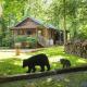 Cozy Bear, Free Attraction Tickets, Hot Tub, WIFI, Fireplace!!! Sevierville - Foto 1