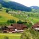 Lunzenhof, Oberharmersbach - Foto 1