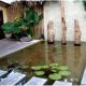 Sofa Gallery Hotel, Nong Khai (fotografie 5)