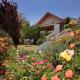 The Beautiful Cabins, Rosh Pinna (photo 3)