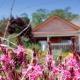 The Beautiful Cabins, Rosh Pinna (photo 9)