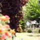 The Beautiful Cabins, Rosh Pinna (photo 4)