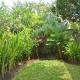 Sari Bamboo Villas, Ubud - Fotografie 5