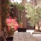 Riad Timila Marrakech - Photo 9