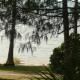 Beachside Holiday Units, Bowen (photo 5)