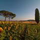 Villa Cozzano, Pozzuolo (fotografie 5)