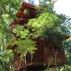 Tree House-Midigama, Weligama - Fotografie 4