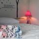 Cozy Rabbit Hotel, Thung Song (photo 3)
