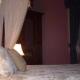 Lucinda B&B, Latrobe (foto 2)