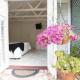 Rosebridge House Bed & Breakfast Adult Retreat, Gooseberry Hill (photo 5)