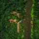 Amazon Muyuna Lodge - All Inclusive, Paraíso - Fotografie 5
