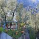 Hotel Riviera Panoramic Green Resort, Limone sul Garda (fotografie 10)