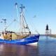 Maritime Ferienwohnung in Strandnähe, ドルム・ノイフェルト - 写真 10
