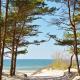 Stunning Seaside Haus, Palanga (foto 5)