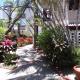 La Casa Contenta, Mazatlán (zdjęcie 2)