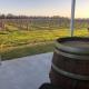Milawa Vineyard Views - Guesthouse 1 - Photo 5